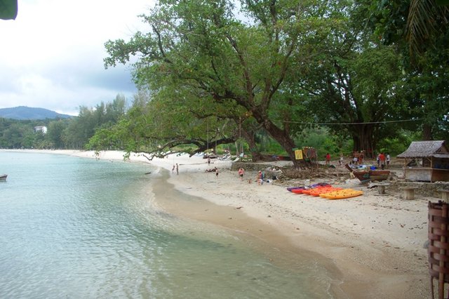 Tri Trang 3.jpg